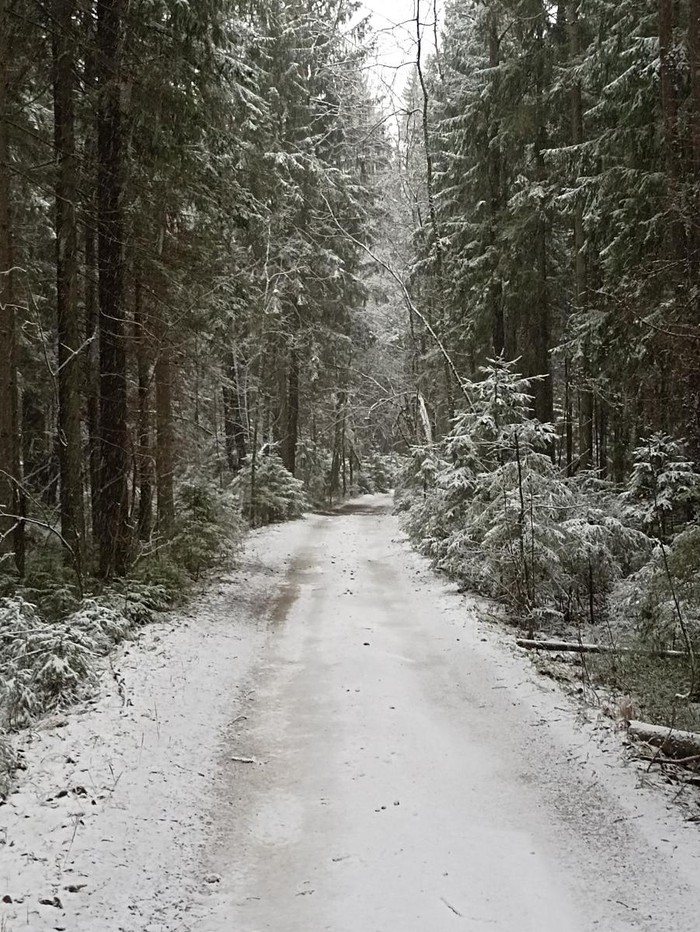 p03.jpg